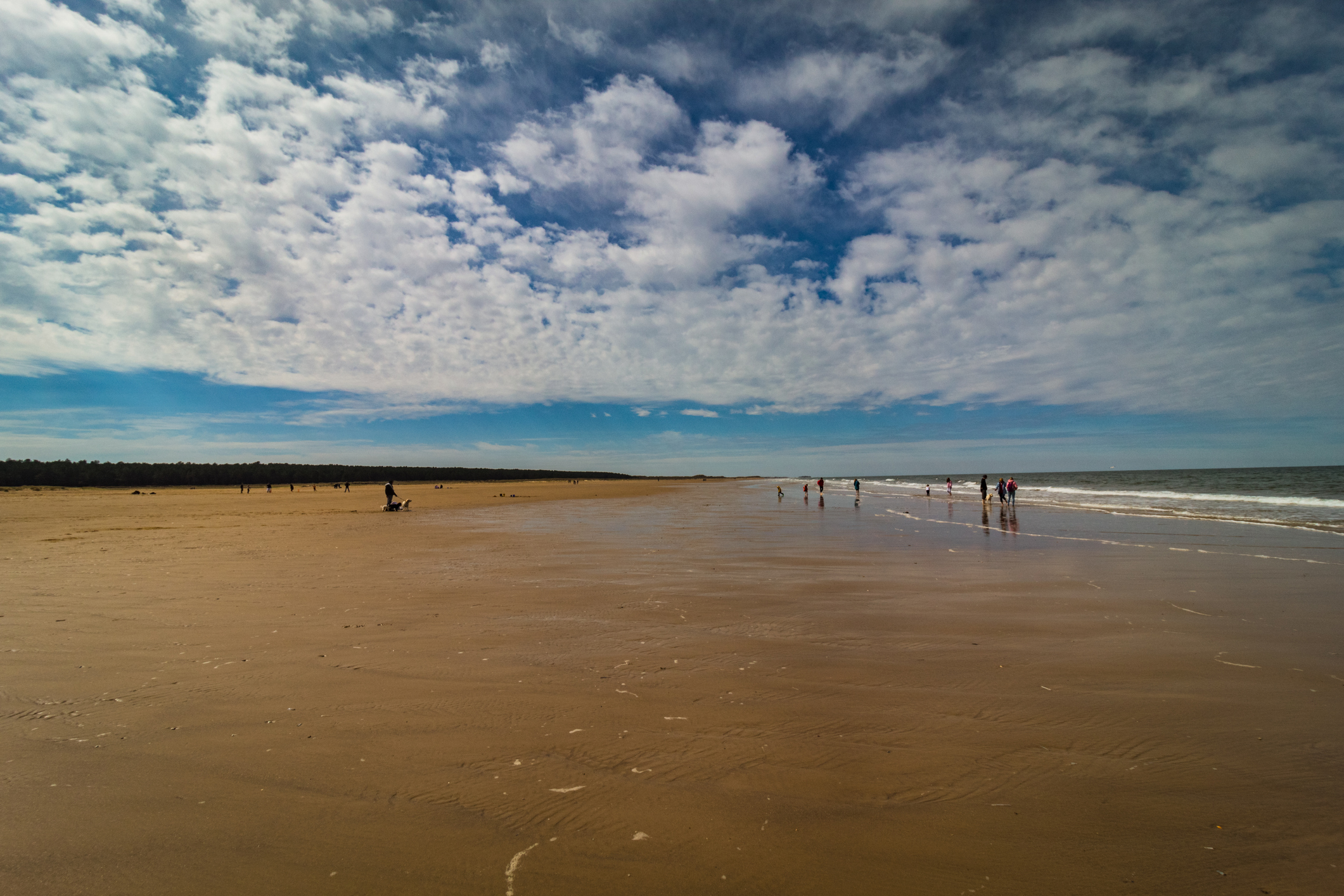5-dog-friendly-beaches-around-norfolk